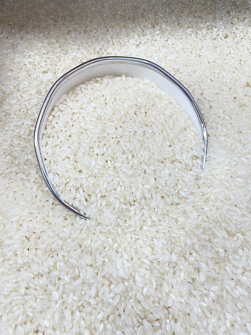 Рис 