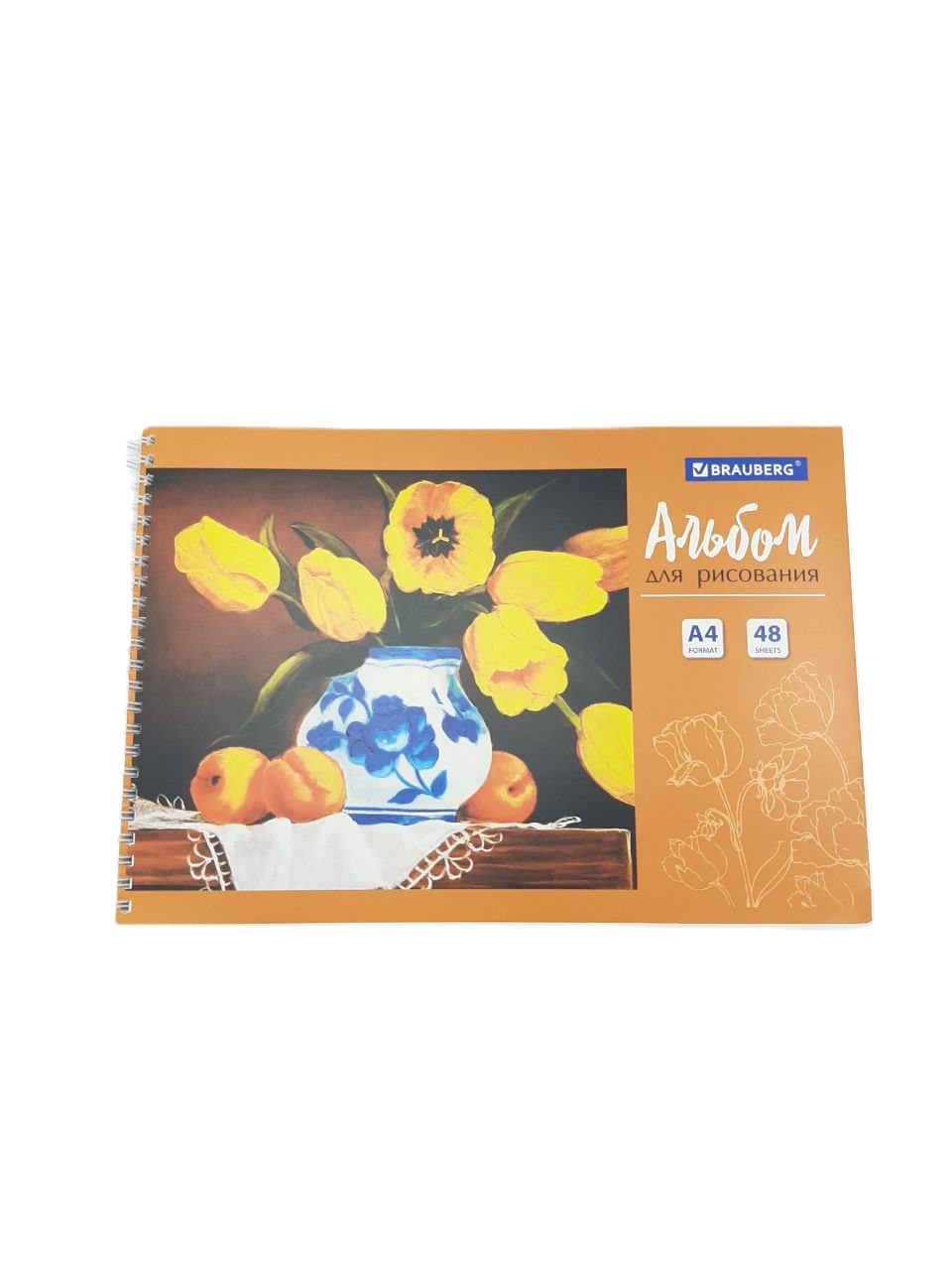 Альбом для рисования на пружине 48 л Brauberg 